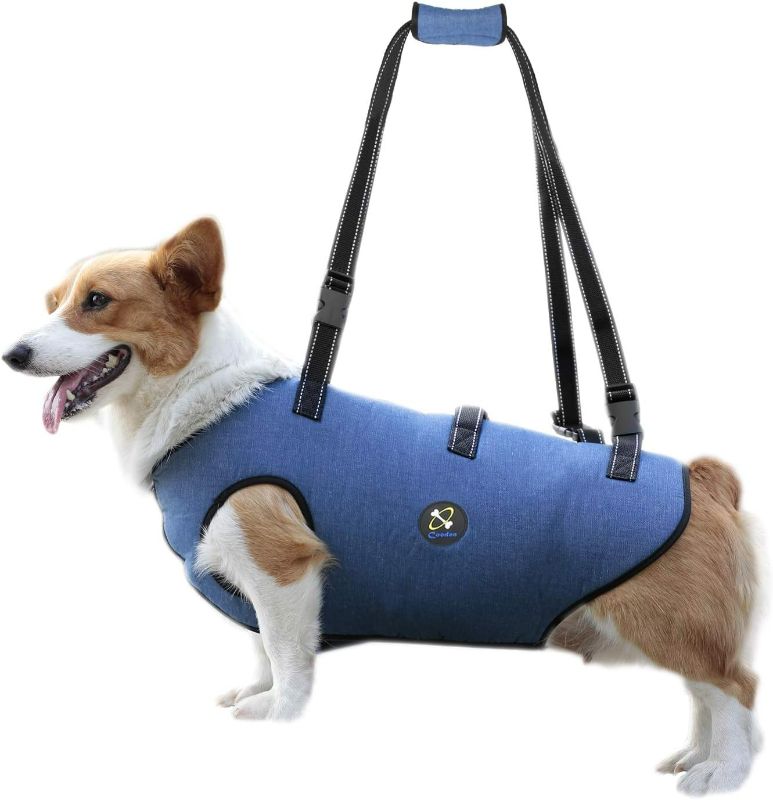 Photo 1 of Coodeo Dog Lift Harness, Pet Support & Rehabilitation Sling Lift Adjustable Padded Breathable Straps for Old, Disabled, Joint Injuries, Arthritis, Loss of Stability Dogs Walk (Blue, S)