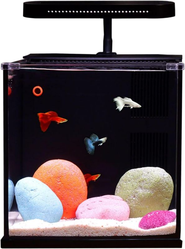 Photo 1 of Betta Nemo Fish Tank Small Aquarium Starter Kit with Filter and Light Low Iron Ultra Clear Glass 2 Gallon(Fresh Water Black)