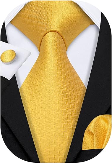 Photo 1 of Barry.Wang Classic Mens Ties Silk Necktie Pocket Square Cufflinks Set Woven Designer Wedding Business
