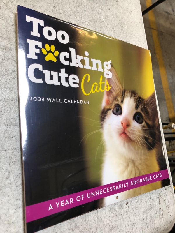 Photo 2 of 2023 Too F*cking Cute Cats Wall Calendar: A Year of D*mn Adorable Kitties (Funny Monthly Calendar & White Elephant Gag Gift for Cat Lovers) (Calendars & Gifts to Swear By)