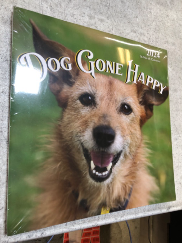 Photo 2 of 2024 Dog Gone Happy Hangable Wall Calendar - 12" x 12” - Smiling Cute Funny Puppies Photo Gift - Sturdy Thick Puppy Dogs Photography - Large Full Page 16 Months for Organizing & Planning