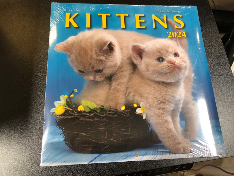 Photo 2 of Kittens 2023 Hangable Wall Calendar - 12" x 24" Open - Cute Kitty Cat Photo Gift - Sturdy Thick Beautiful Kitten Photography - Large Full Page 16 Months for Organizing & Planning - Includes 2022