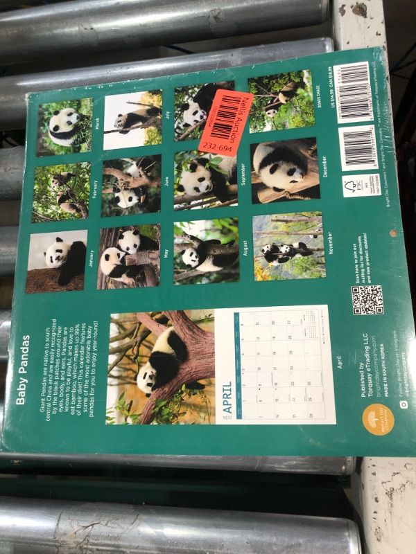 Photo 3 of 2024 Baby Animals Monthly Wall Calendar by Bright Day, 12 x 12, Baby Pandas 