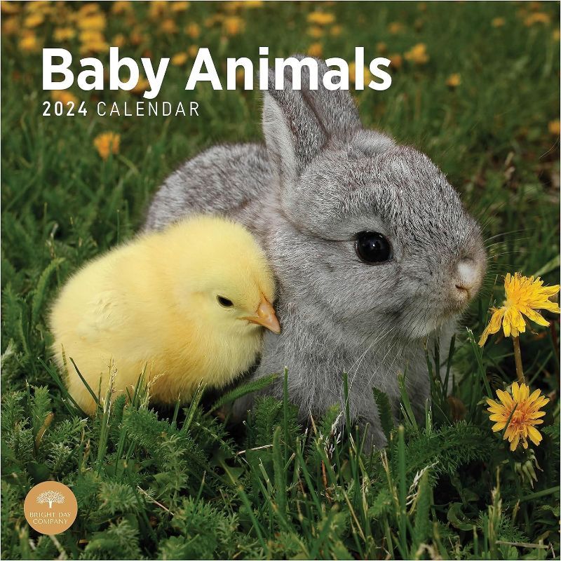 Photo 1 of 2024 Baby Animals Monthly Wall Calendar by Bright Day, 12 x 12, Baby Pandas 