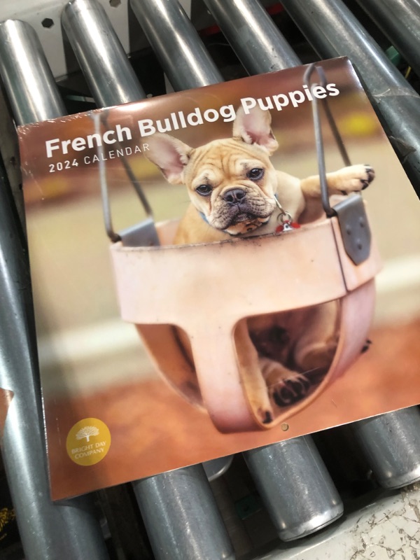 Photo 2 of 2024 French Bulldog Puppies Monthly Wall Calendar by Bright Day, 12 x 12 Inch Cute Dog Breed Gift