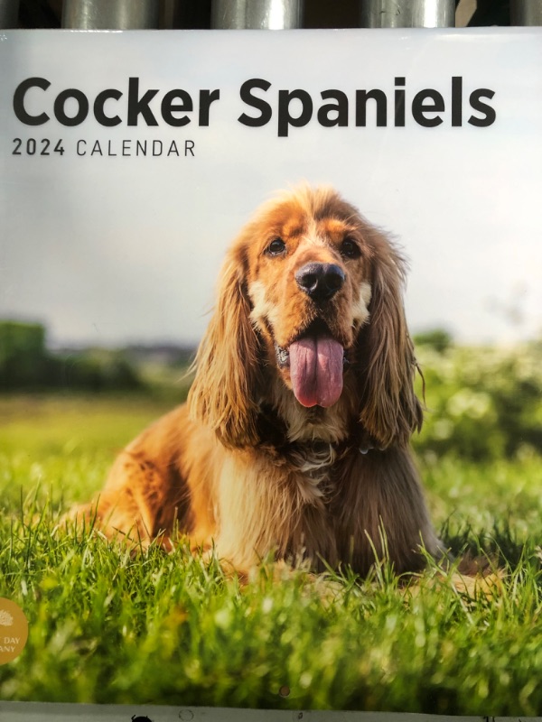 Photo 2 of 2024 Cocker Spaniels Monthly Wall Calendar by Bright Day, 12 x 12 Inch Cute Dog Breed Gift merry cocker