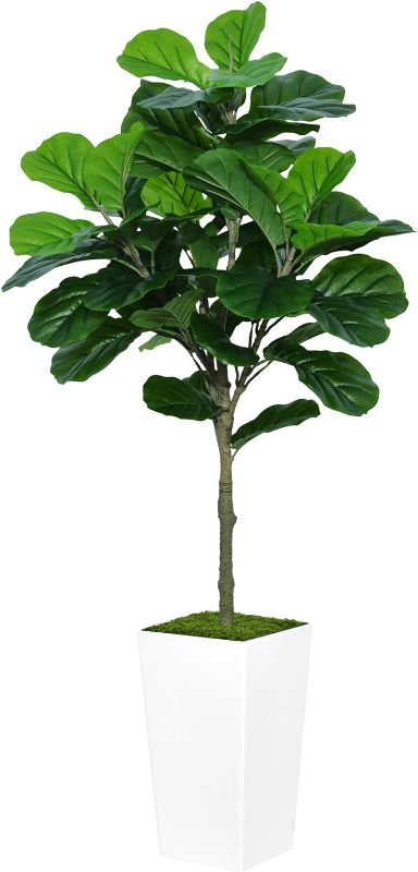 Photo 1 of (READ FULL POST) ASTIDY Fiddle Leaf Fig Tree Artificial 5FT - Faux Fiddle Leaf Fig Tree with White Tall Planter - Fake Ficus Lyrata Floor Plant Potted - Artificial Fig Tree for Home Office Living Room Decor Indoor White Fiddle Leaf Fig