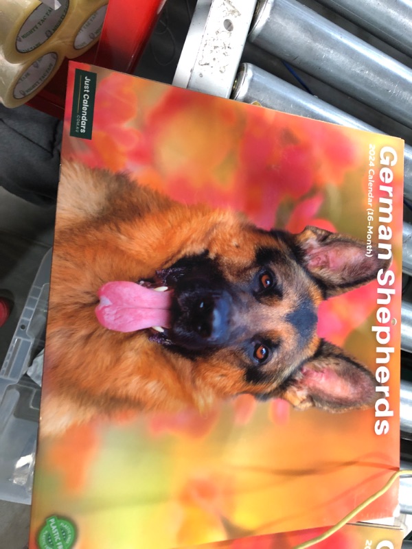 Photo 2 of 2024 German Shepherds Dogs & Puppies - Deluxe Wall Calendar by Just Calendars - 16 Month - Plastic Free