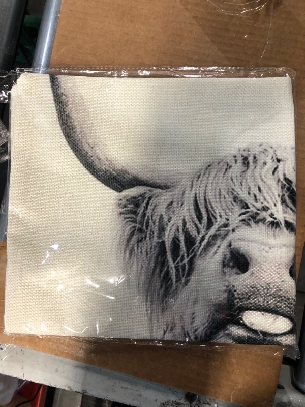 Photo 1 of **NON REFUNDABLE**
OX Pillow Covers