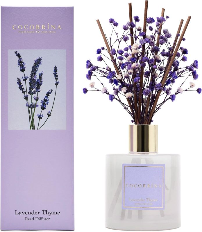 Photo 1 of (STOCK PHOTO FOR SAMPLE ONLY) - Cocorrína Premium Reed Diffuser Set - Lavender