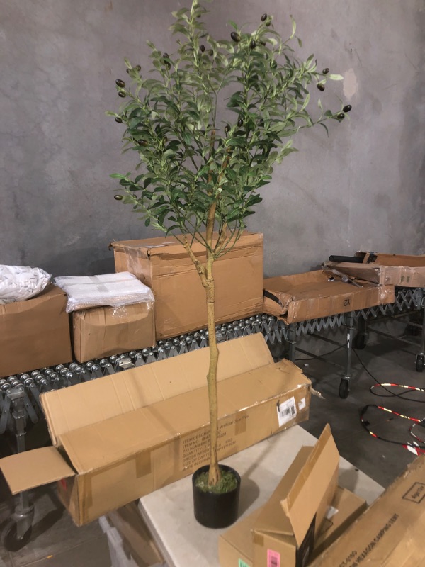 Photo 2 of (READ FULL POST) Olive Tree Artificial Indoor 6FT, GTIDEA Artificial Tree Fake Tree Indoor Large Faux Olive Tree and Fruits Artificial Plants Indoor Fake Silk Trees for Spring Home Decor Office Living Room Floor
