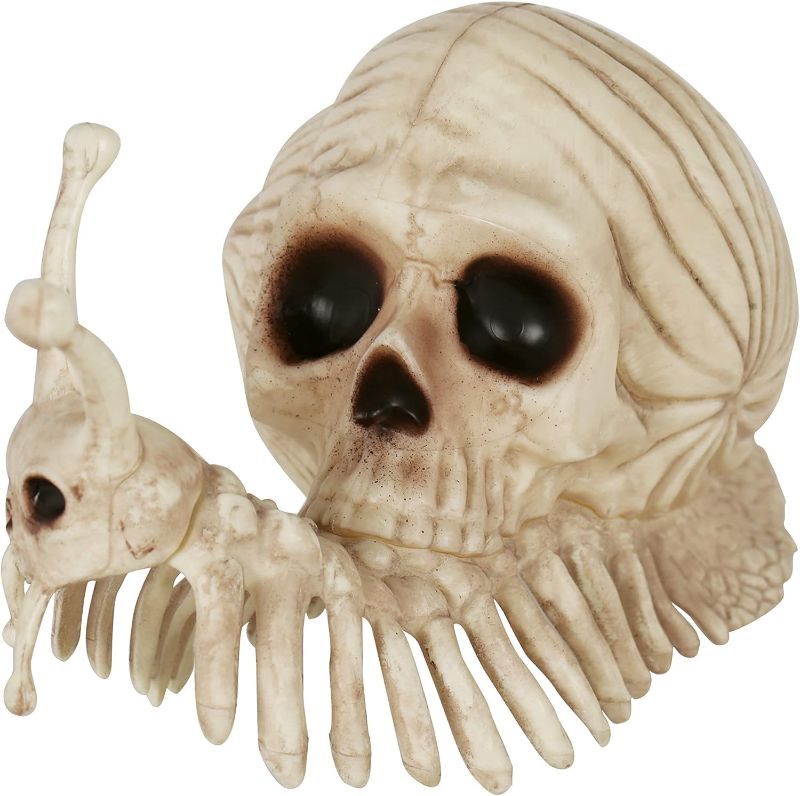 Photo 1 of Crazy Bonez Snail Skull Decoration
