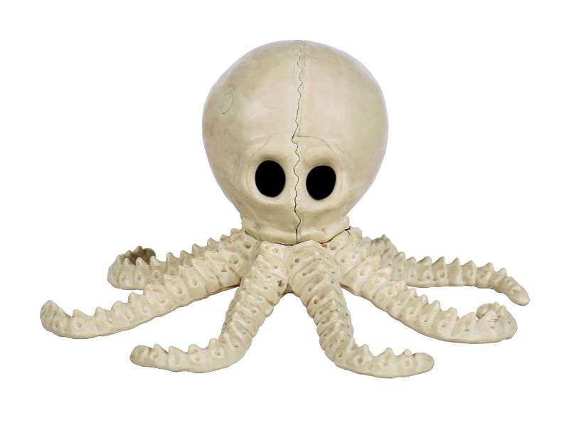 Photo 1 of Crazy Bonez Cute Skeleton Octopus