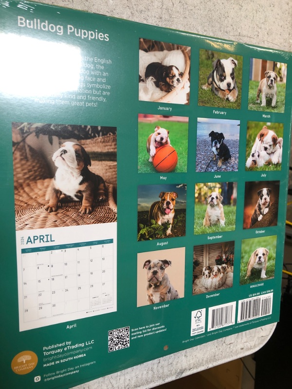 Photo 2 of 2024 Bulldog Puppies Monthly Wall Calendar by Bright Day, 12 x 12 Inch Cute Dog Breed Gift 2PACKS 