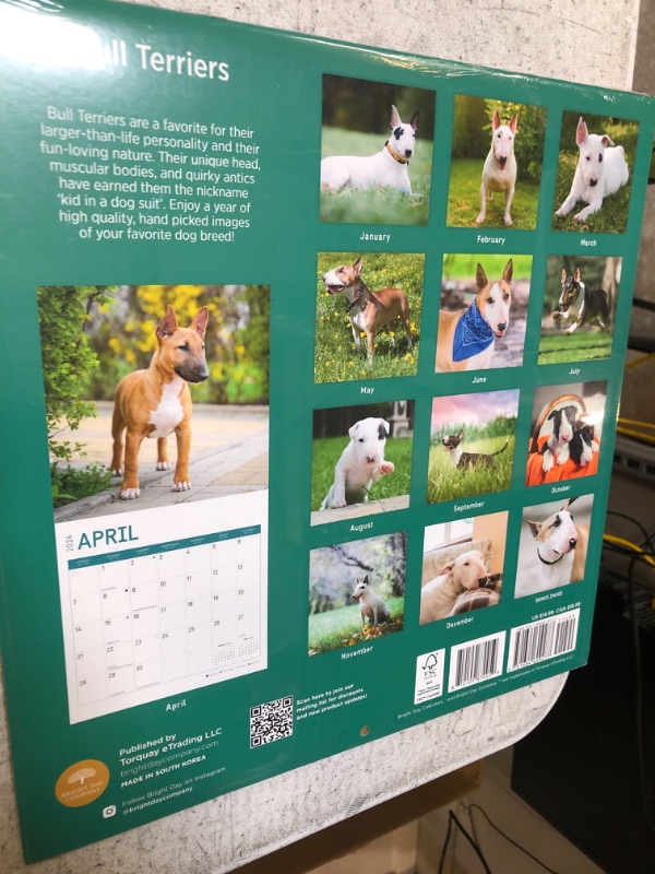 Photo 2 of 2024 Bull Terriers Monthly Wall Calendar by Bright Day, 12 x 12 Inch Cute Dog Breed Gift