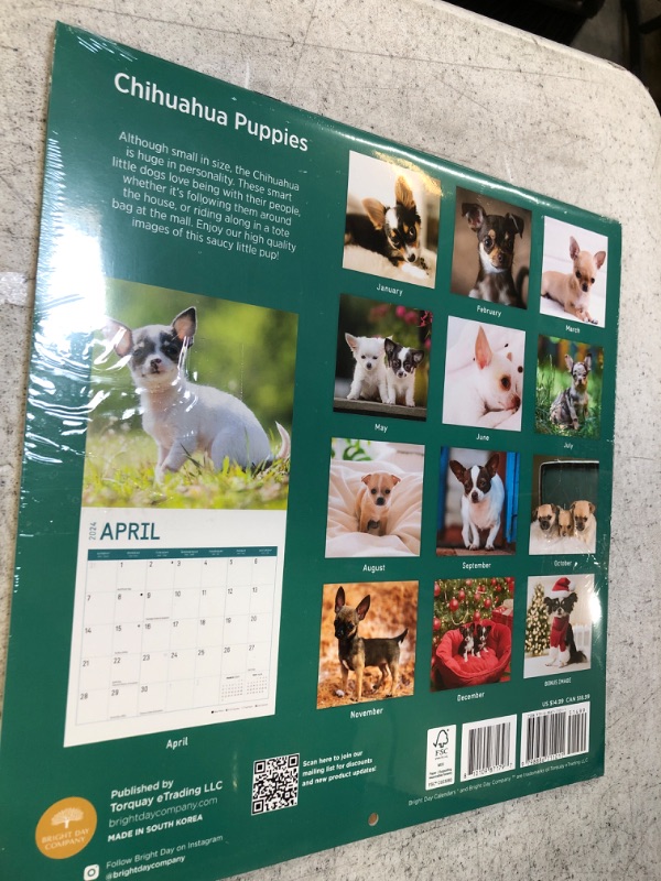 Photo 2 of 2024 Chihuahua Puppies Monthly Wall Calendar by Bright Day, 12 x 12 Inch Cute Dog Breed Gift 2PACK 