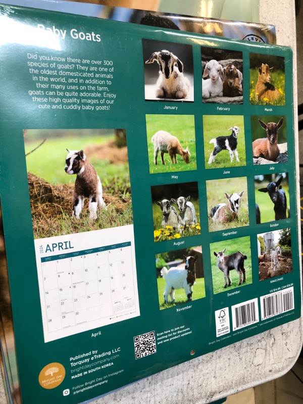 Photo 2 of 2024 Baby Goats Monthly Wall Calendar by Bright Day, 12 x 12 Inch Cute Nature Photography Gift