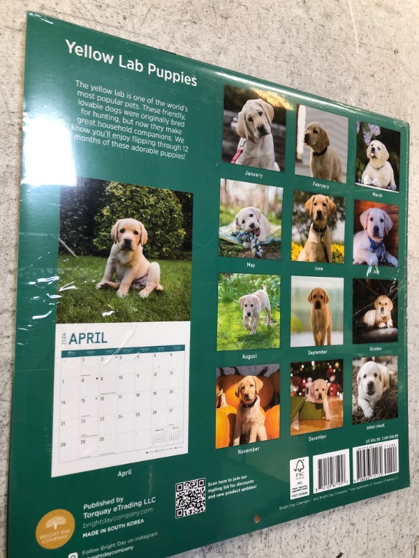 Photo 2 of 2024 YELLOW LAB PUPPIES CALENDER 2PACK 