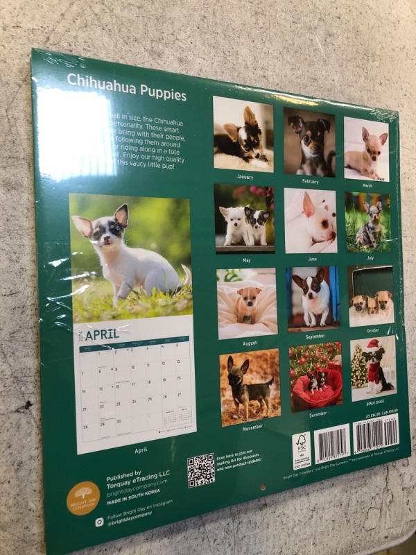 Photo 2 of 2024 CHIHUAHUA PUPPY CALENDAR 2PACK 