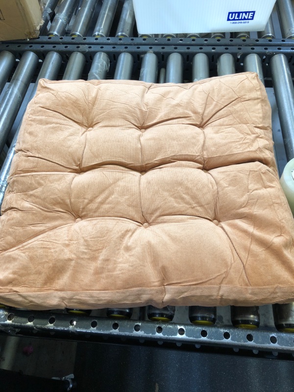 Photo 1 of tan patio cushion 22x22inches