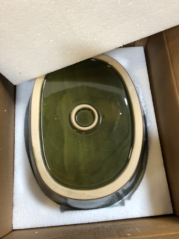 Photo 1 of Sunnydaze Outdoor Solar Powered Ceramic Spitting Frog Water Fountain with Submersible Pump - 7" - Green