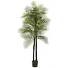 Photo 1 of Nearly Natural
Indoor and Outdoor 7 ft. Artificial Double Robellini Palm Tree UV Resistant