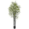 Photo 1 of 
Nearly Natural
Indoor and Outdoor 6 ft. Artificial Black Bamboo Tree UV Resistant