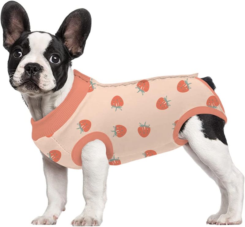 Photo 1 of Mairbero Dog Surgery Recovery Suit Female/Male - Onesies for Dogs After Surgery Surgical,Recovery Suit for Dogs After Surgery,Substitute E-Collar & Cone Prevent Licking
