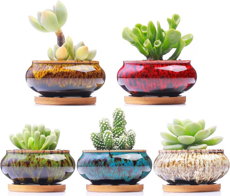 Photo 1 of LAMDAWN Cute Ceramic Succulent Garden Pots, Planter with Drainage and Attached Saucer, Set of 5 -Plants Not Included (Burner)
