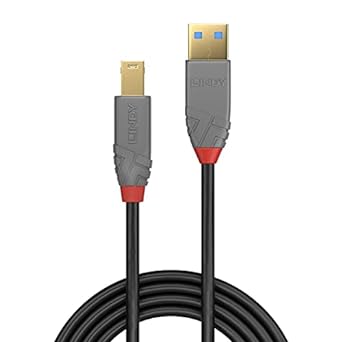 Photo 1 of LINDY 3m USB 3.2 Cable. USB-A Male to USB-B 3.0 Male Type B, Monitor Upstream Cable, External Hard Drive, Scanner, Printer, Anthra Line, Black
