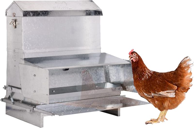 Photo 1 of RentACoop Automatic Metal Treadle Feeder - Outdoor Use, Rainproof - Suitable for Chickens, Bantams, Poultry, Pheasants, etc. - 40lb Capacity
