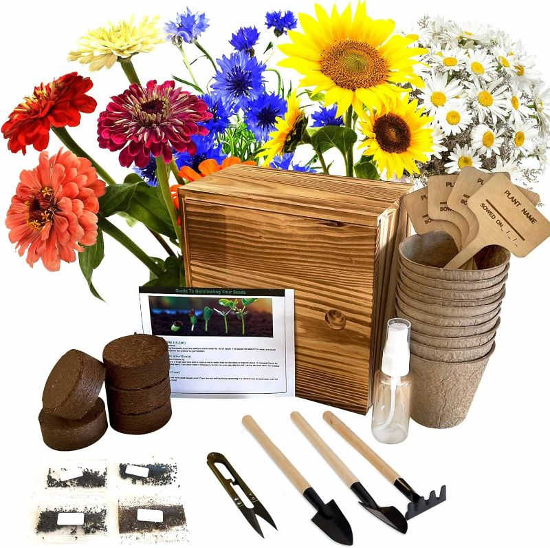 Photo 1 of Indoor Starter 4 Kit with Complete Gardening Kit & Wooden Box, Growing into Shasta Daisy, Cornflower, Sunflower, Zinnia
