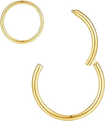 Photo 1 of ORANGELOVE Hypoallergenic Nose Rings 16G 316l Surgical Steel Septum Jewelry Hinged Segment Ring Body Piercing Nose Hoop Lip Rings Nose Helix Cartilage Rook Earrings