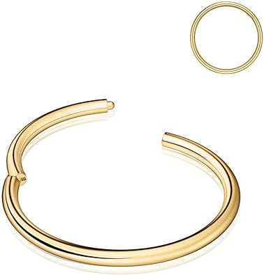 Photo 1 of Nose Rings Hoop, 316L Surgical Steel Hypoallergenic Nose Rings Septum Cartilage Hoop Earring Conch Piercing Jewelry for Women, Diameter, Gold, Rose Gold, Silver, Black