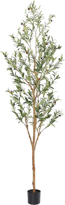 Photo 1 of Bellacat Faux Olive Tree 7ft?Olive Trees Artificial Indoor with Natural Wood Trunk and Realistic Leaves and Fruits. 7 Feet(84in) Fake Olive Tree for Home House Office Décor.