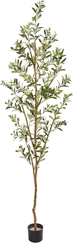 Photo 1 of Nearly Natural 82” Olive Artificial Silk Trees Green