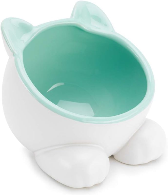 Photo 1 of ViviPet Raised Ceramic Cat Water Food Big Head Bowl Dish, Tilt Angle Protect Cat's Spine, Stress for Cat - Teal
