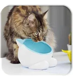 Photo 2 of Vivipet Big Head Water Bowl (TEAL) 