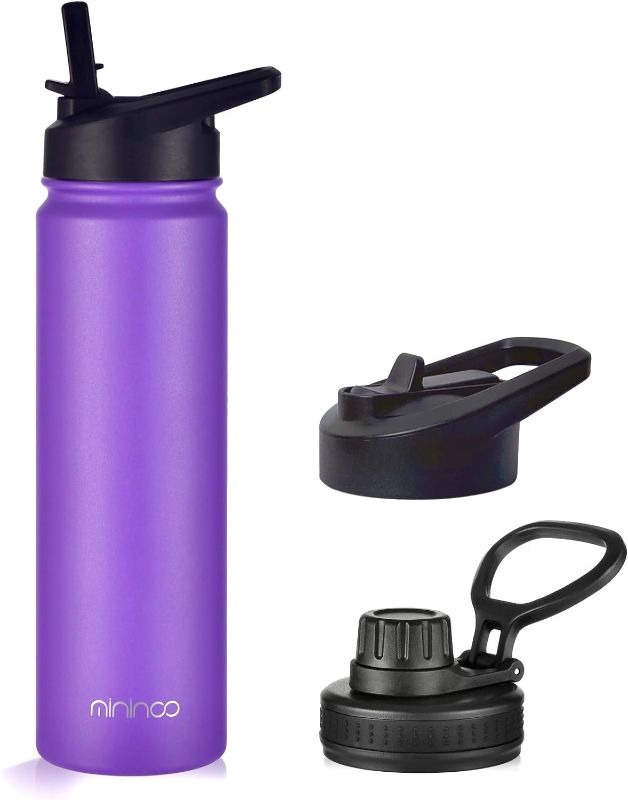 Photo 1 of 24 oz Insulated Water Bottle with Straw, Stainless Steel Double Wall Vacuum Thermos with Straw Lid & Chug Lid, Leak Proof, BPA Free, Keep Cold for 24H & Hot for 12H(Purple)
