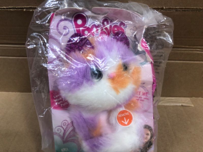 Photo 1 of Pomsies Kitten Kali - Exclusive
