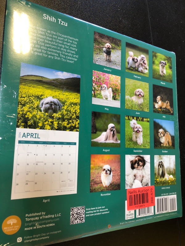 Photo 2 of 2024 Shih Tzu Monthly Wall Calendar by Bright Day, 12 x 12 Inch Cute Dog Breed Gift 2PACK 