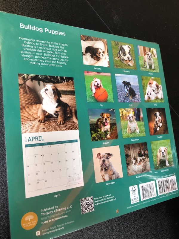 Photo 2 of 2024 Bulldog Puppies Monthly Wall Calendar by Bright Day, 12 x 12 Inch Cute Dog Breed Gift 4PACK 