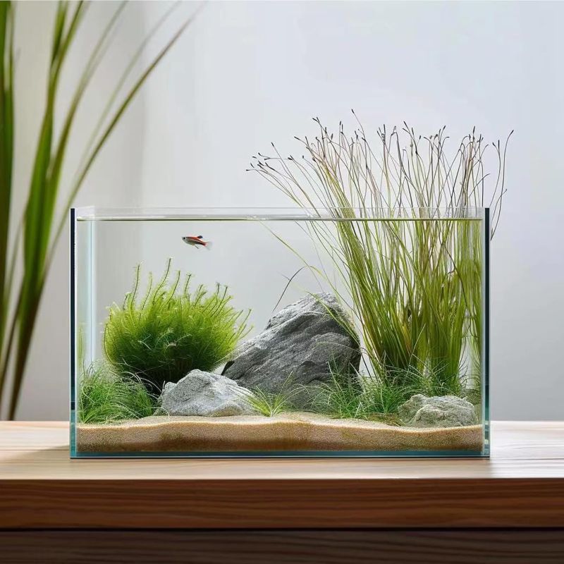 Photo 1 of Vimvins 3 Gallon Glass Fish Tank, Easy to Maintain Small Aquarium for Betta/Goldfish/Snails/Shrimp and Aquatic Planting.