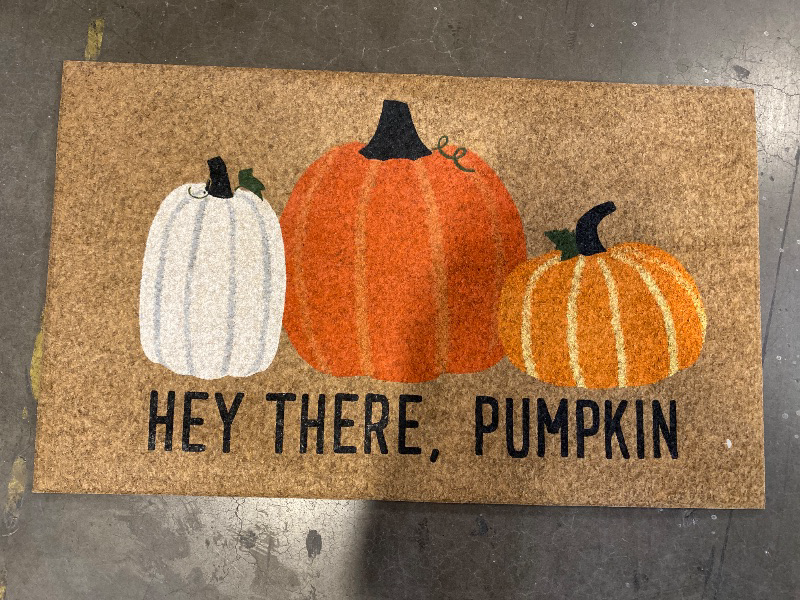 Photo 1 of hey there, pumpkin 18x30 mat 