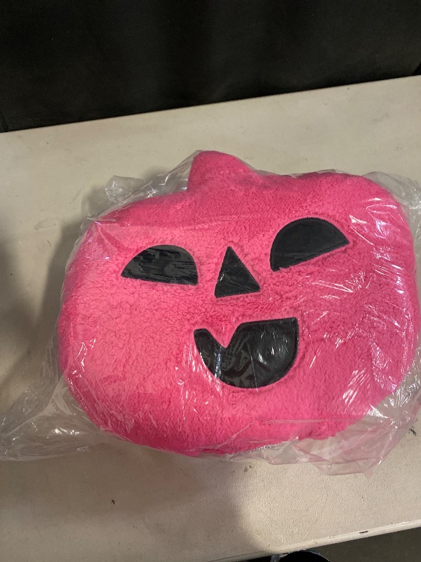 Photo 1 of 2 count pink pillow set