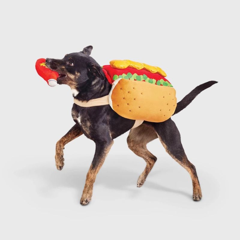 Photo 1 of Halloween Full Body Hot Dog Dog Costume with Ketchup Toy - Hyde and EEK! Boutique