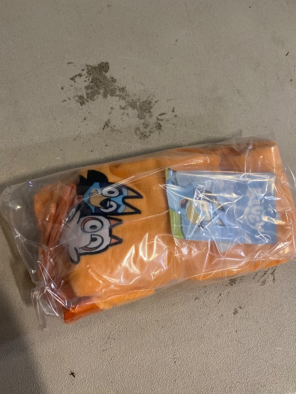 Photo 1 of Bluey & Bingo Halloween Hand Towels Set of 2