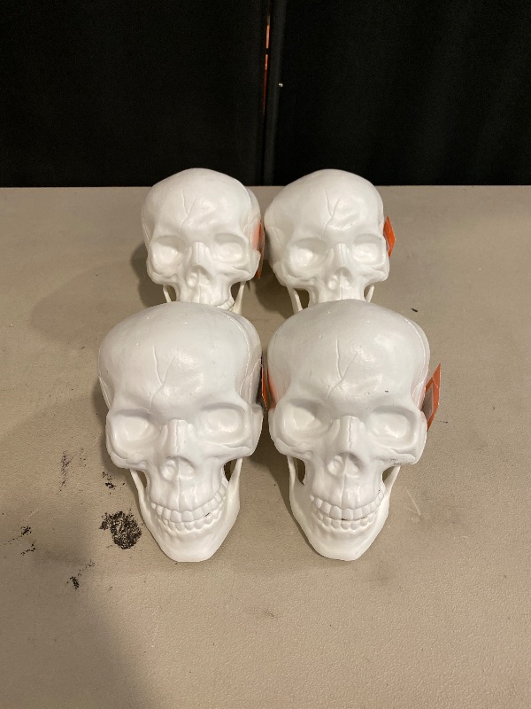 Photo 1 of halloween Skeleton head decor bundle 