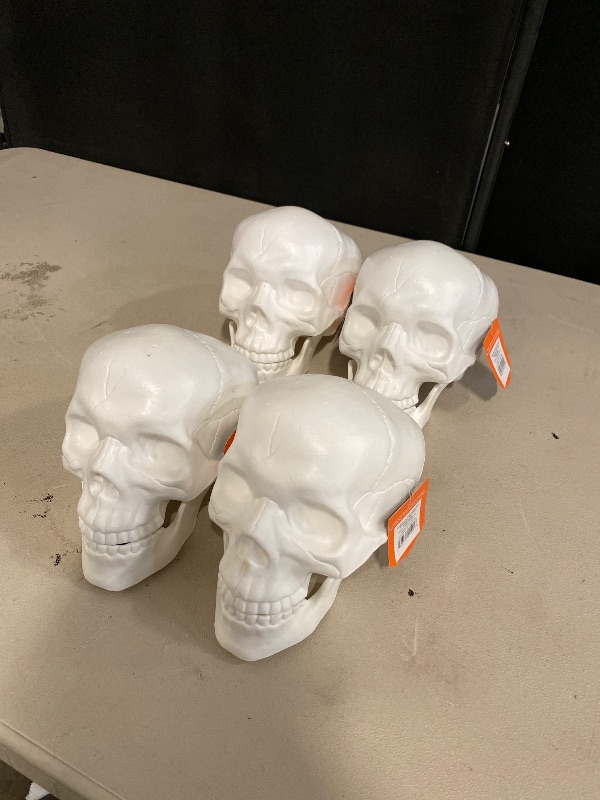 Photo 1 of Halloween Skeleton Head decor bundle . 