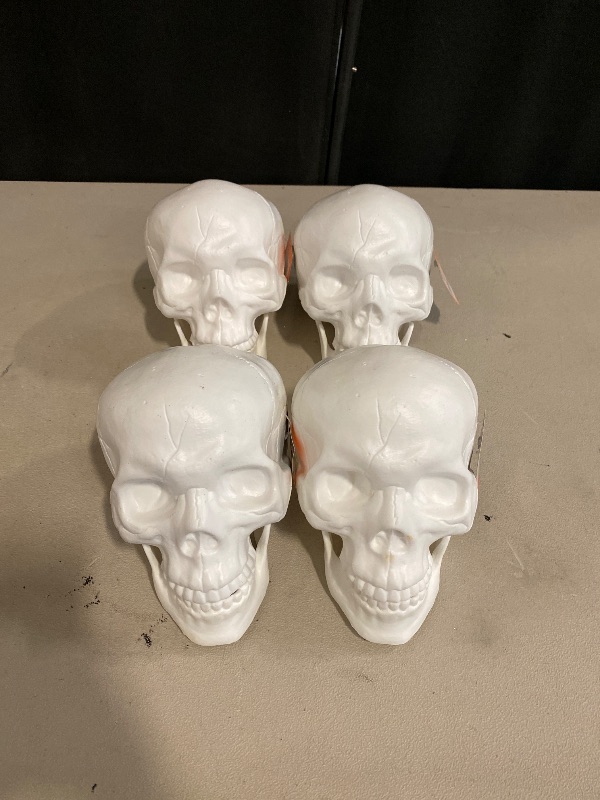 Photo 1 of Halloween Skeleton Head decor bundle . 